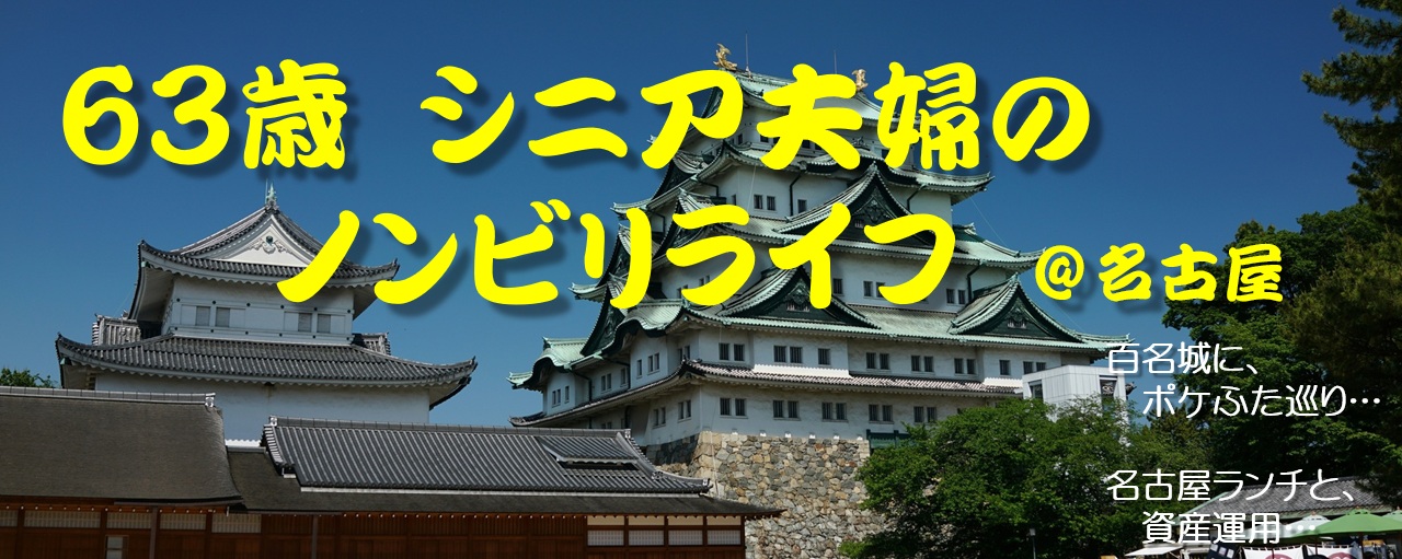 ６３歳シニア夫婦のノンビリライフ